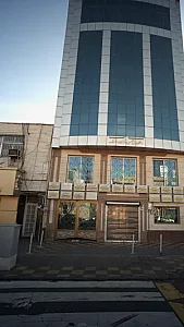 دکتر محمدرضا انصاری پور