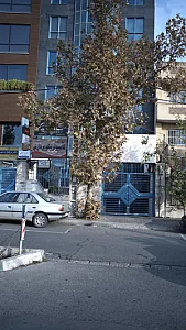 دکتر طناز کاظمی - پزشک عمومی در تهران