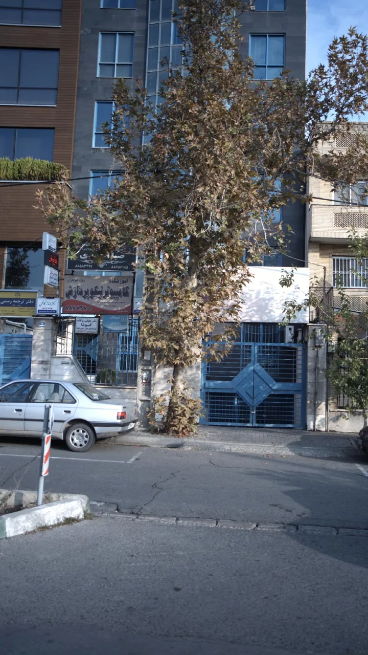 دکتر طناز کاظمی