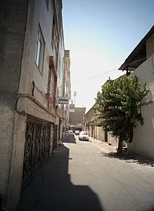 دکتر محمد رضا ناظم