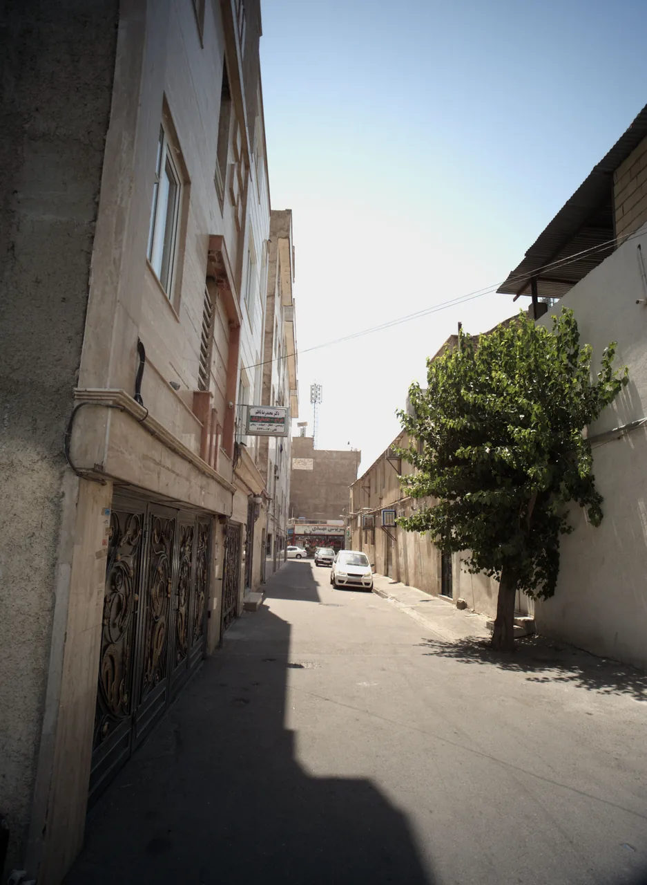 دکتر محمد رضا ناظم
