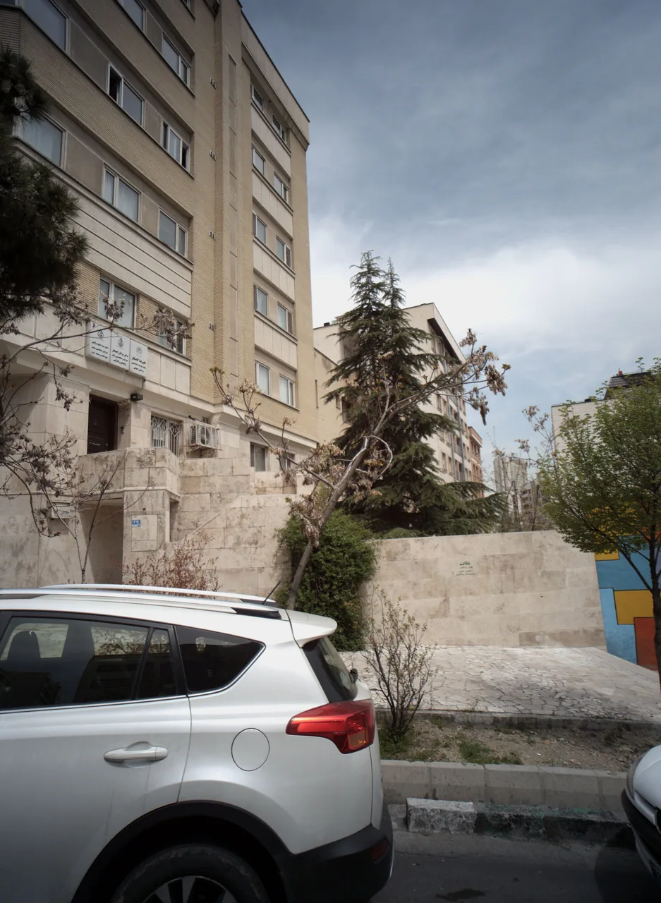 دکتر سید داوود وکیلی
