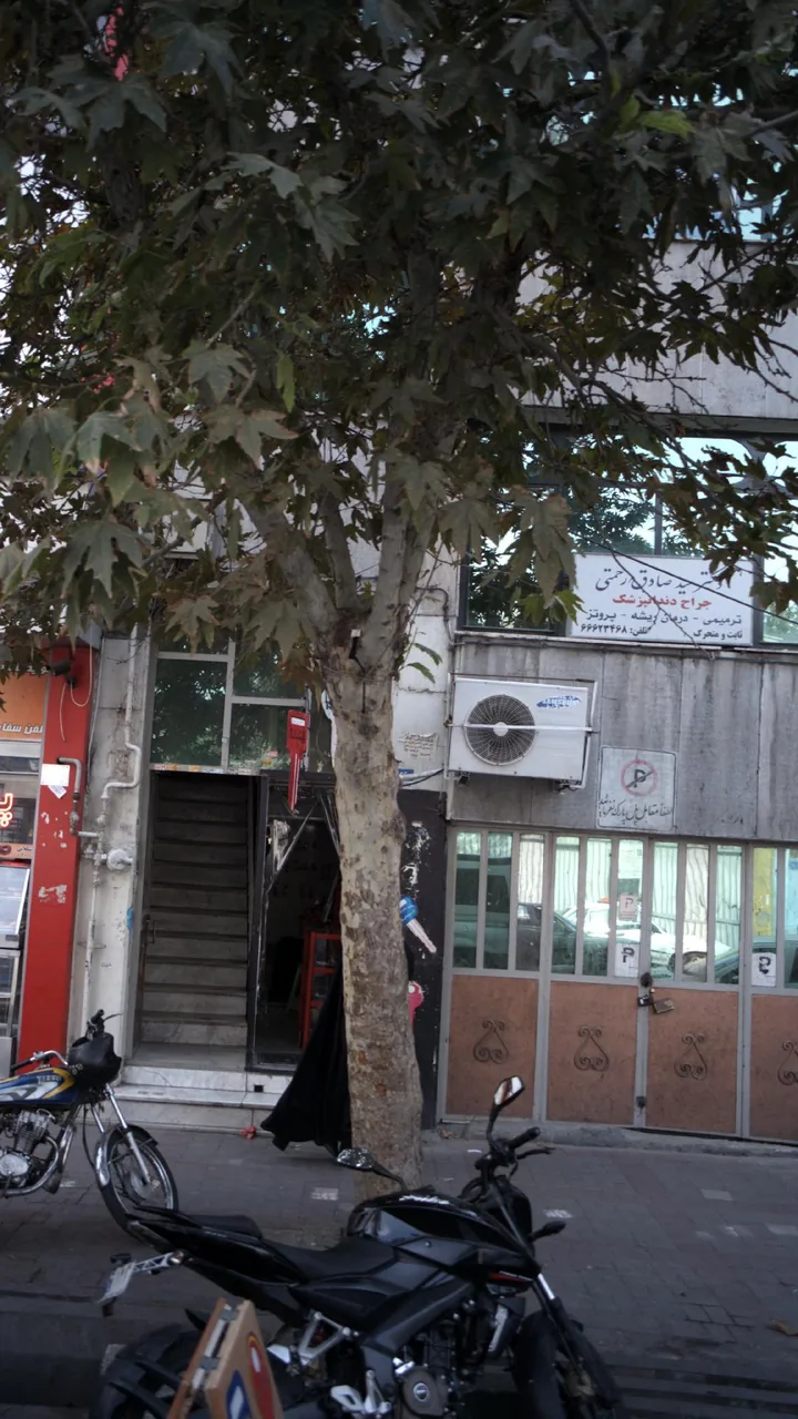 دکتر سیدصادق رحمتی