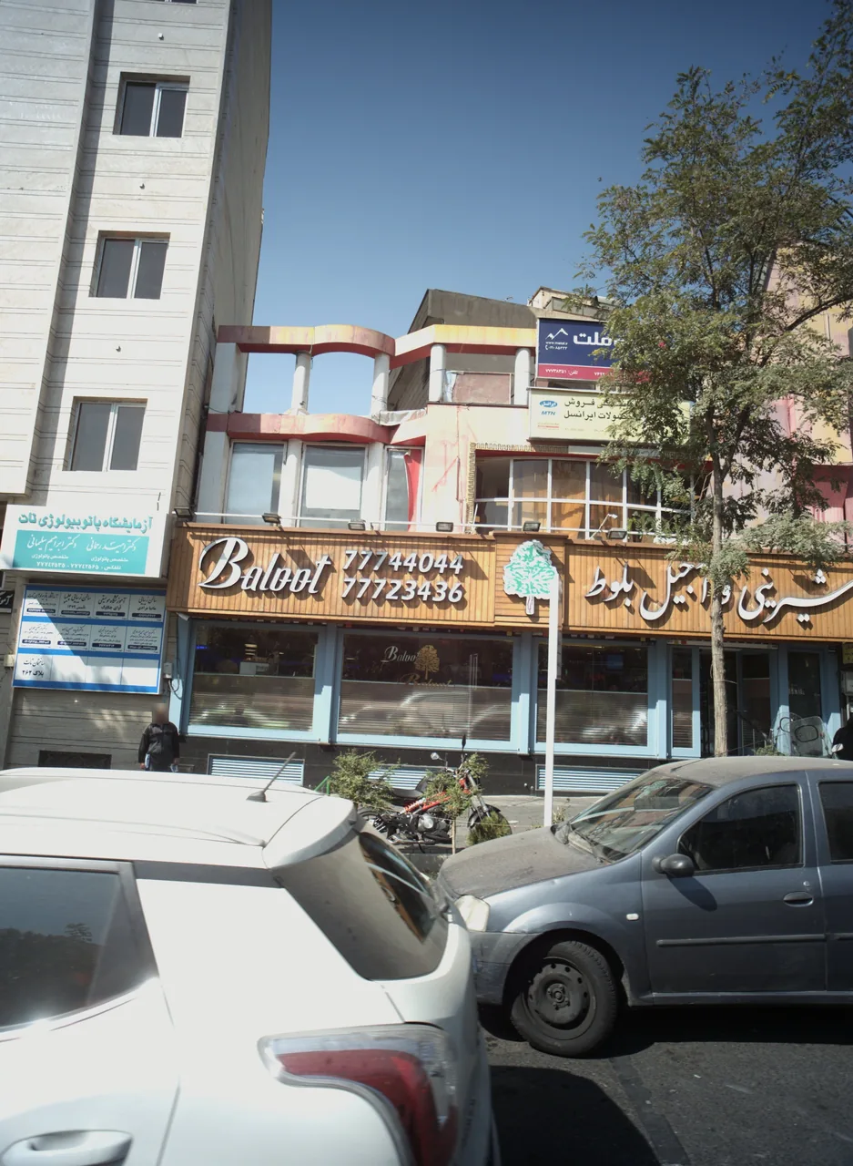 دکتر سید پوریا شبیری