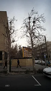 دکتر عباس مومن زاده
