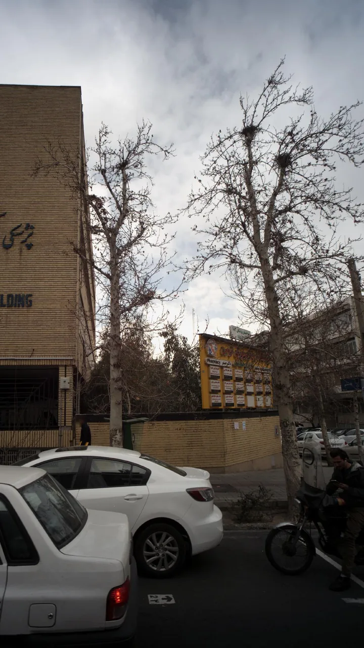 دکتر عباس مومن زاده - تصویر 4