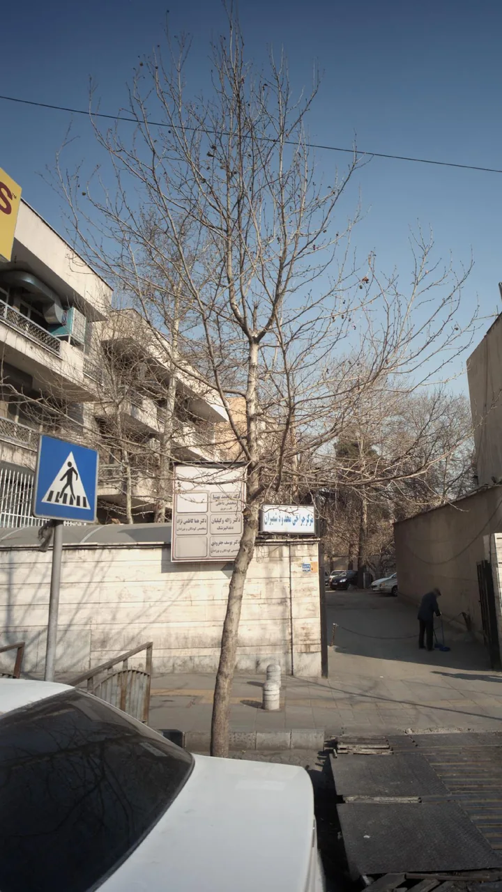 دکتر یوسف جفرودی - تصویر 4