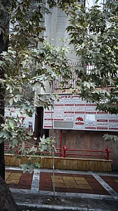 دکتر فیروزه رئیسیان