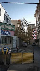 دکتر مازیار میر