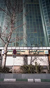 دکتر سوسن احمدی