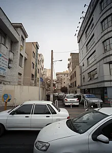 دکتر مینا رضوان نیا