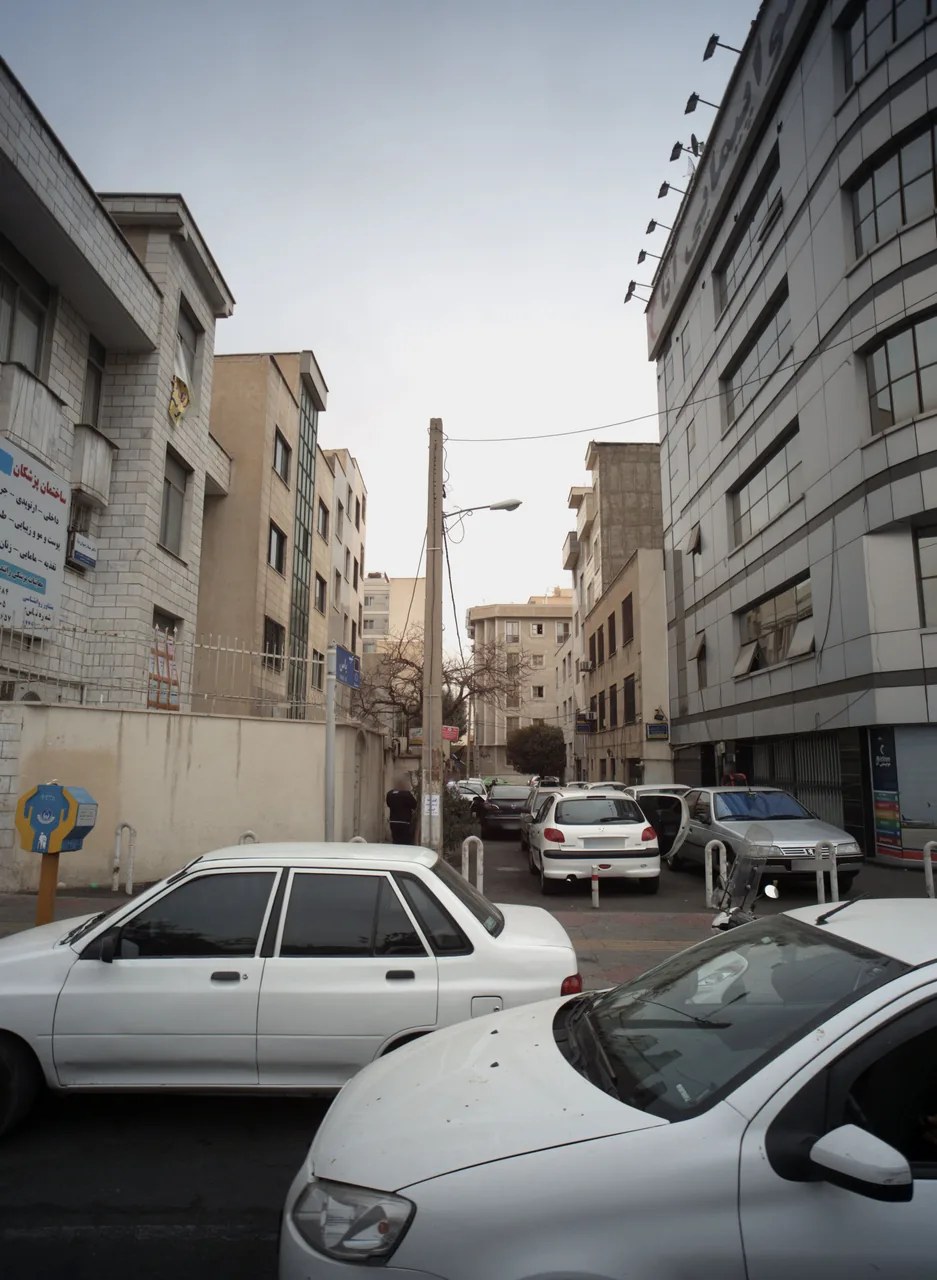 دکتر مینا رضوان نیا