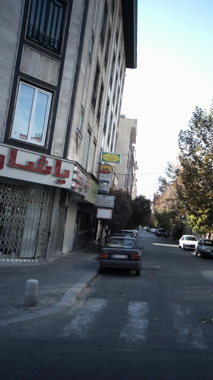 دکتر سید صدرالدین هادی پور