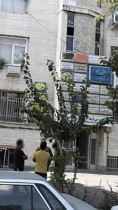 دکتر علی اصغر گودرزی