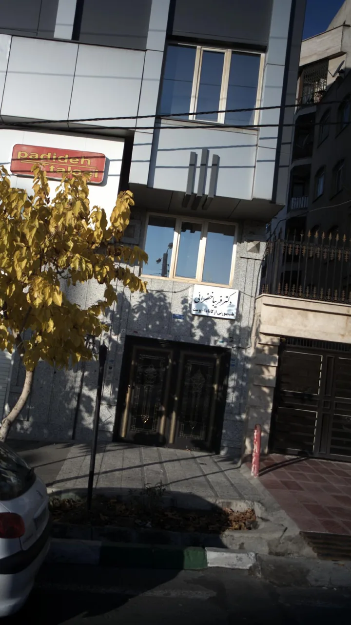 دکتر فریبا خضرائی - تصویر 3
