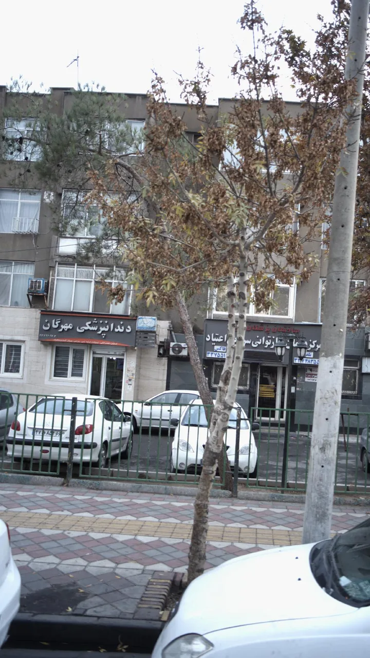 دکتر مختار رفیعی - تصویر 2