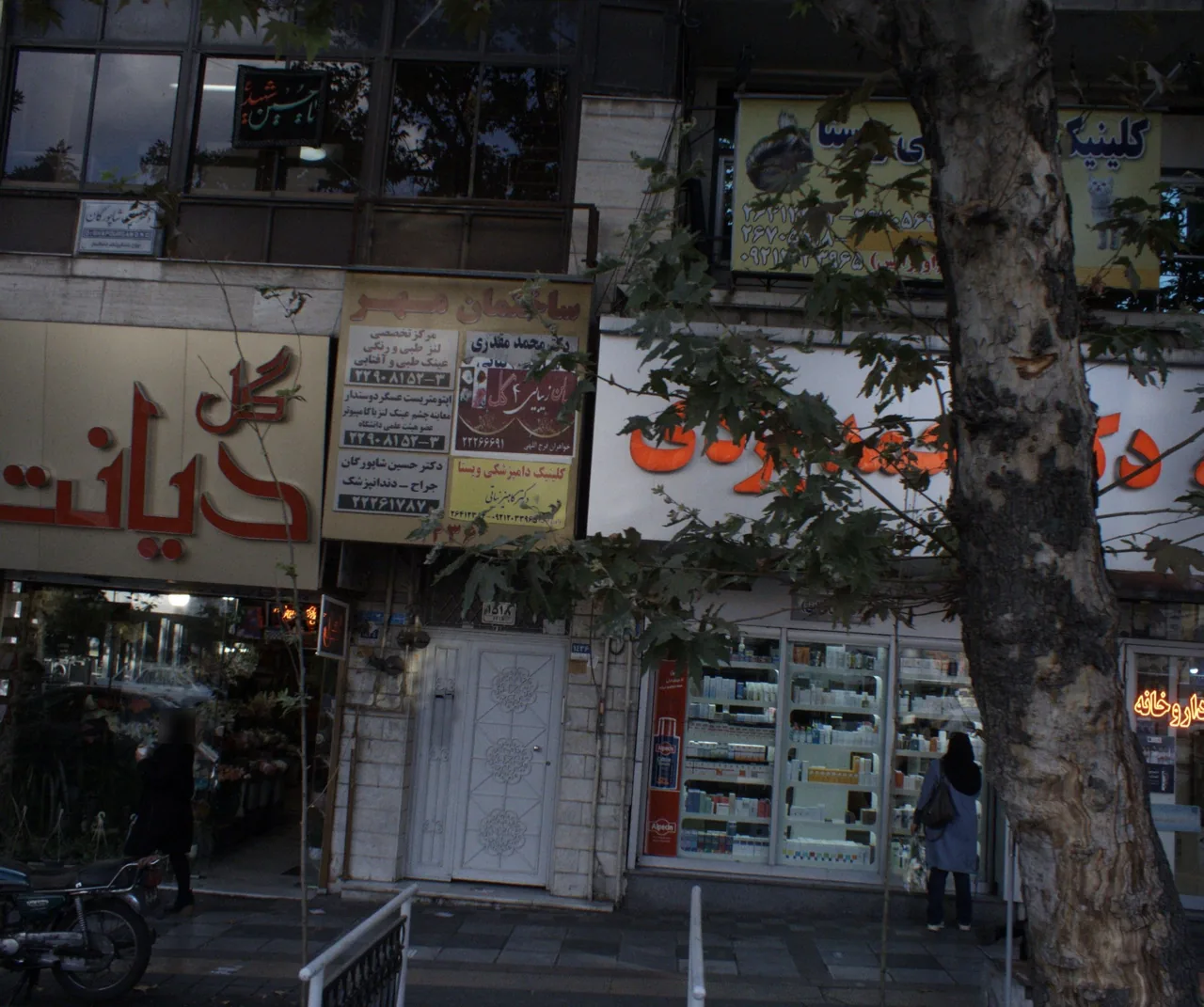دکتر محمد مقدری - تصویر 2