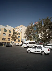 دکتر مریم افضلی