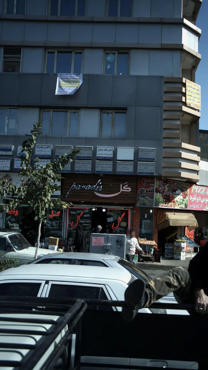دکتر ارژنگ سیف الهی فخر - تصویر 2