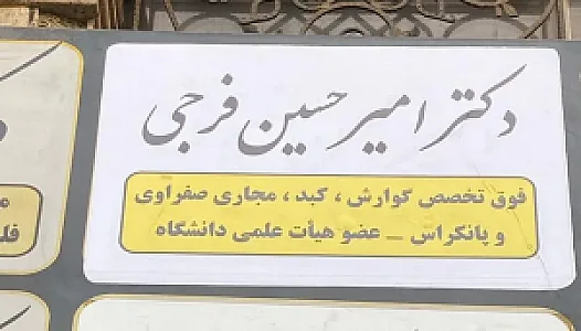 دکتر امیرحسین فرجی فوق تخصص گوارش