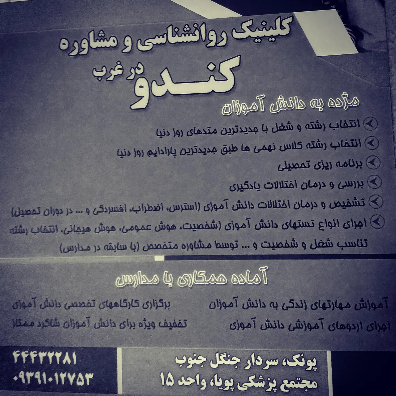 دکتر لیلا پیری (روانشناسی در مسیر رویا) - تصویر 2