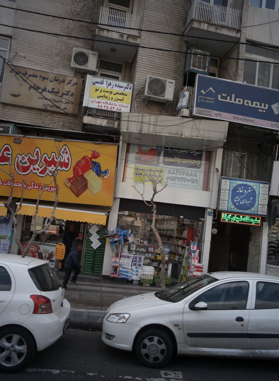 دکتر سیده زهرا قدسی
