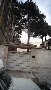 دکتر سیامک