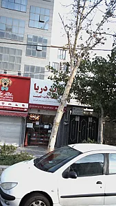 دکتر لیلا زیرک هلان
