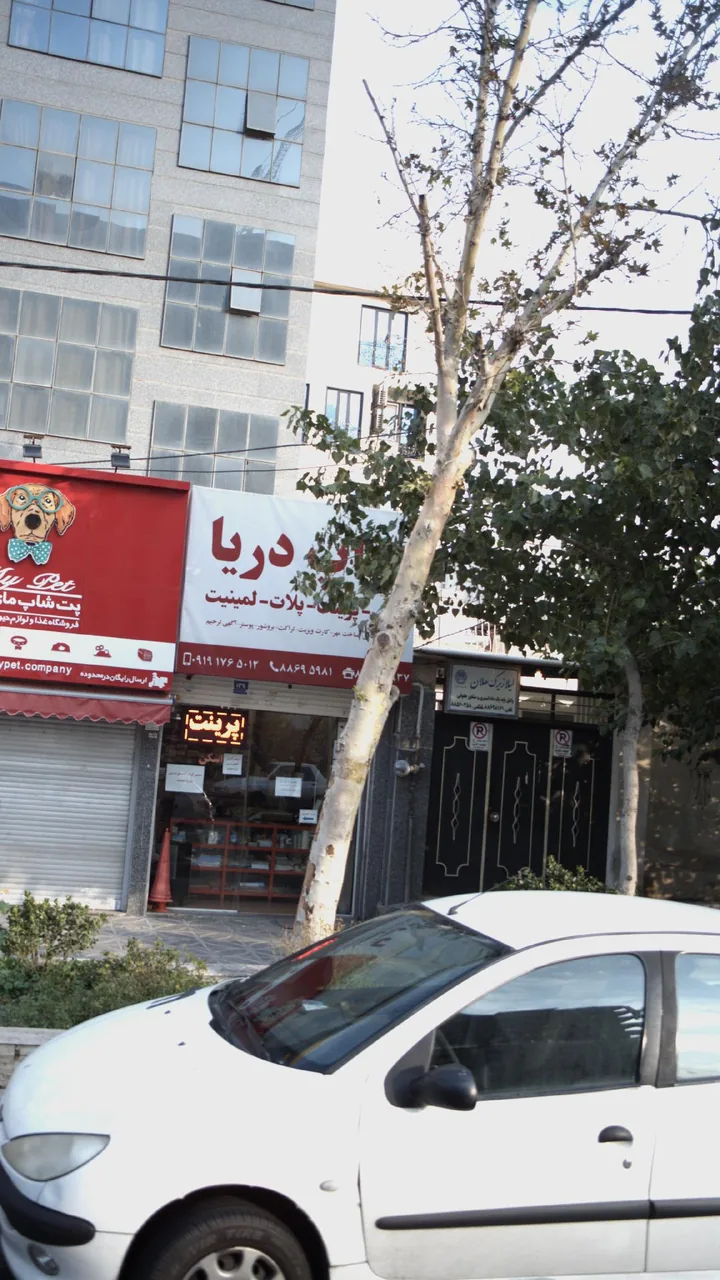 دکتر لیلا زیرک هلان