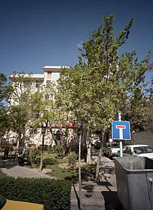 دکتر رضا توکلیان