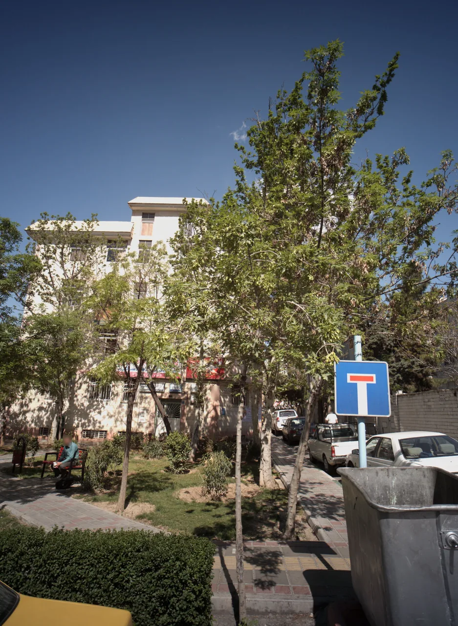 دکتر رضا توکلیان