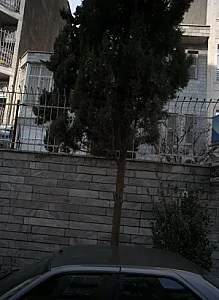 دکتر منیر حداد - پزشک عمومی در تهران