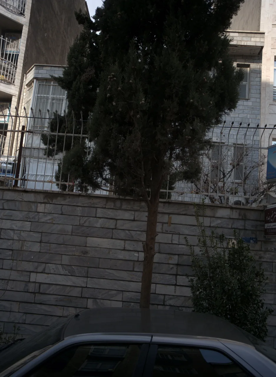 دکتر منیر حداد
