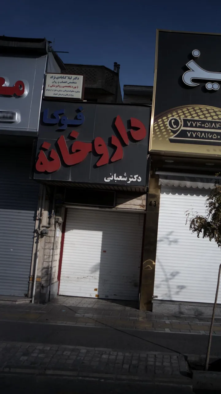 دکتر لیلا گنابادی نژاد ( متخصص روانپزشکی) - تصویر 2
