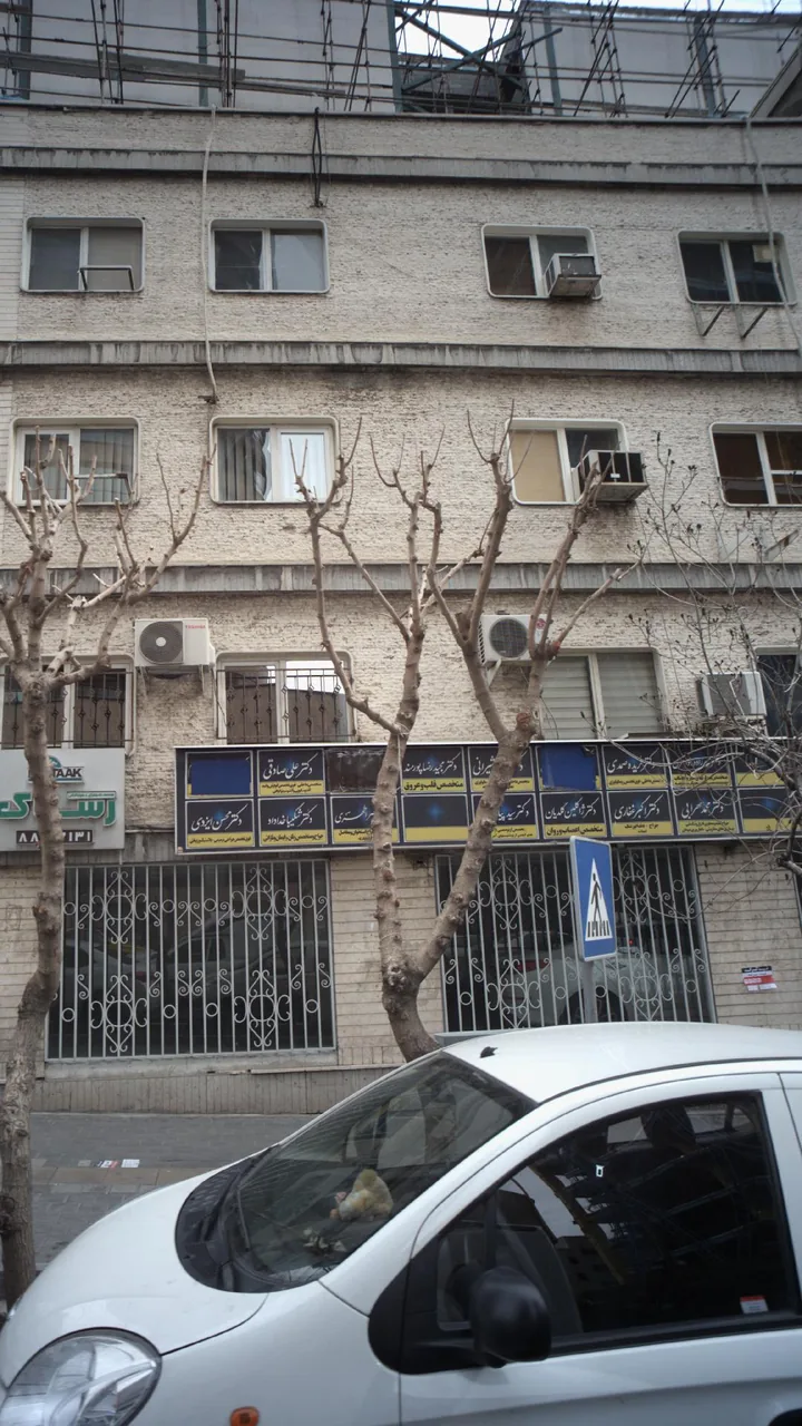 دکتر فریده صمدی - تصویر 2