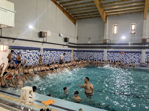 استخر پار المپیک