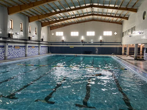 استخر پار المپیک