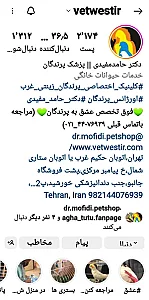 کلینیک پرندگان زینتی غرب دکتر مفیدی