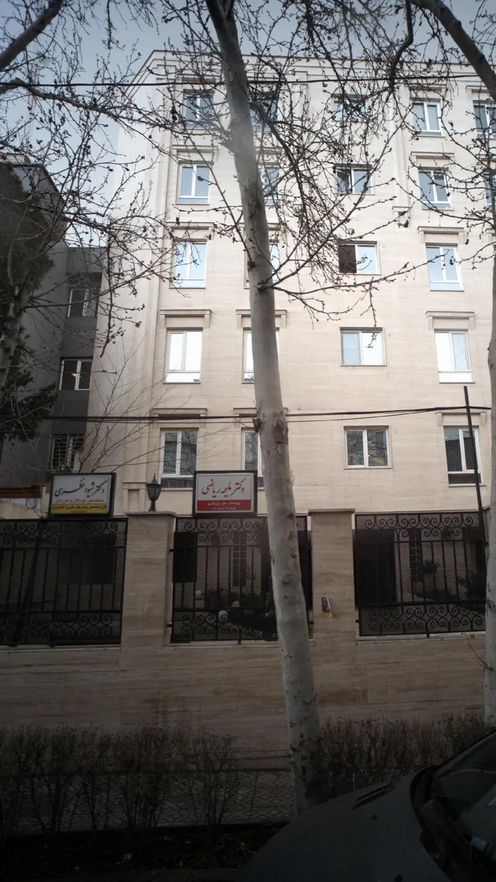 دکتر شیوا نظری - تصویر 2