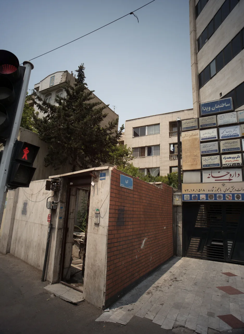 دکتر سید فرزاد محمدی - تصویر 2