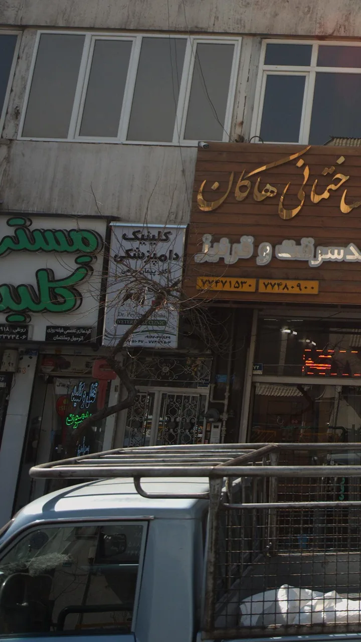 کلینیک دامپزشکی دکتر فرهی - تصویر 4