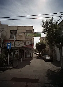 دکتر محمدحسن لطفی