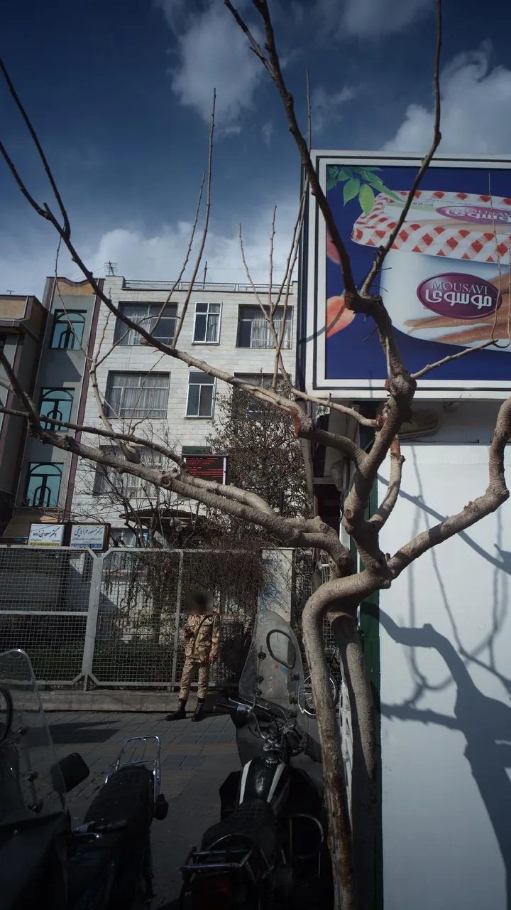 دکتر مسعود نبی زاده