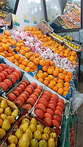 میوه فروشی حسام