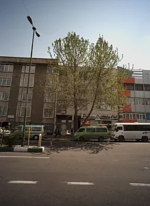دکتر سید جمال رضوی