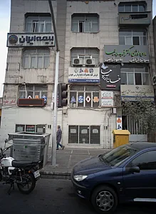 دکتر امیر لطفی نیای الیزئی