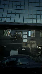 دکتر مهین عباسپور