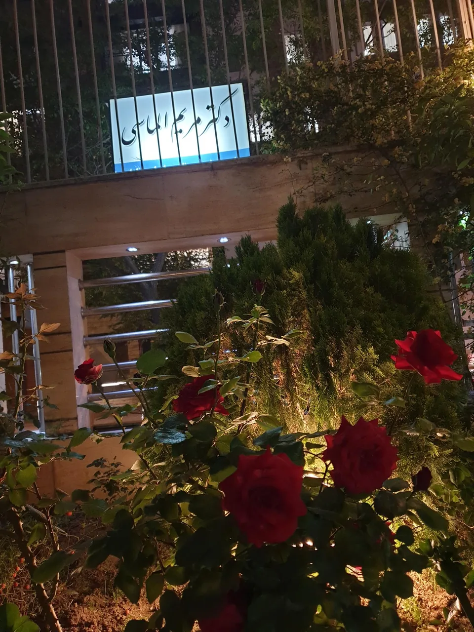 مطب دکتر مریم الماسی - تصویر 3