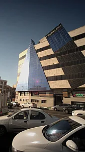 دکتر نسرین منصور نیا