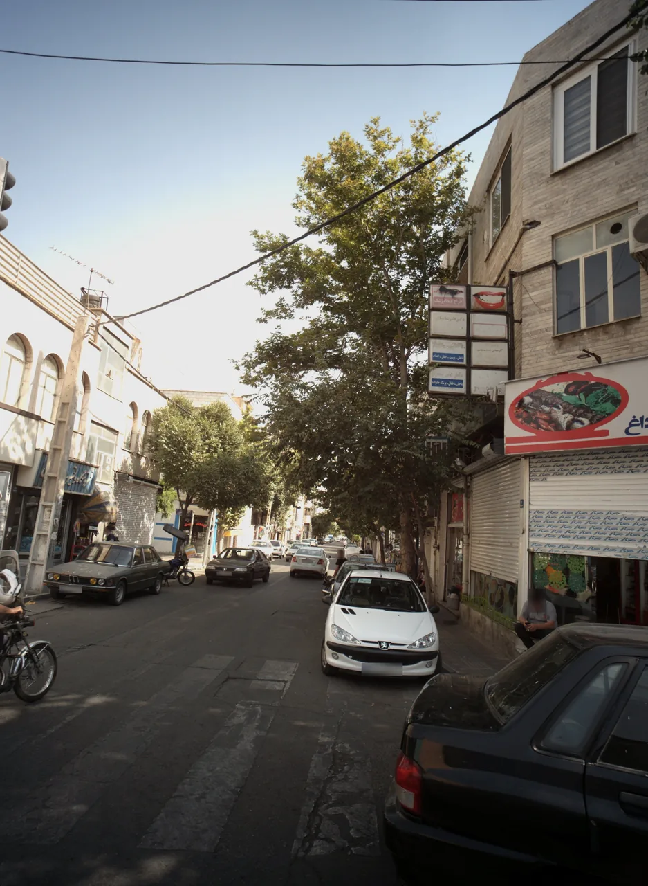 دکتر علیرضا نیکان